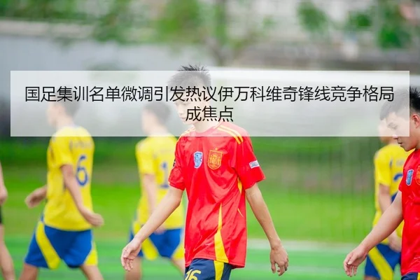 国足集训名单微调引发热议伊万科维奇锋线竞争格局成焦点
